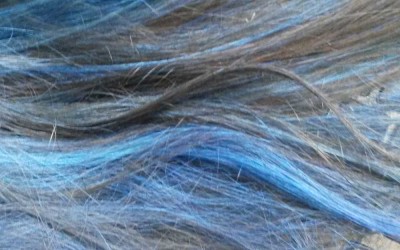 Discovering the perfect blue hair dye