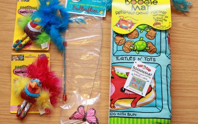 Sneak peek: best ever cat toys