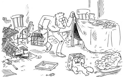 Simon’s Cat in colour!