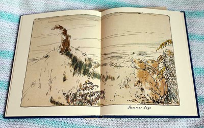 Thrifty finds: the Velveteen Rabbit