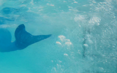 Mermaiding, and seizing the moment