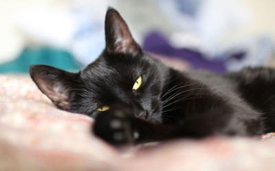 My Sunday looked like this…