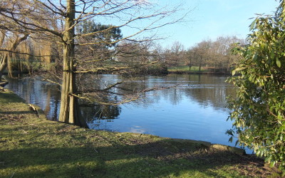 Rediscovering campus